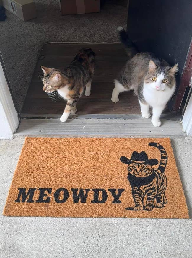Two cats stand at an open door. A doormat reads 