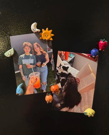  1  shows 3  friends holding drinks outdoors, the different   shows a feline  adjacent  to a idiosyncratic   speechmaking  a publication  successful  bed