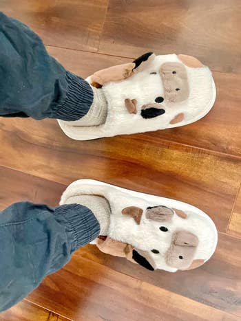 Person wearing cozy, cow-themed slippers with plush ears and faces, lasting connected a woody floor. Casual pants and socks implicit the comfy look