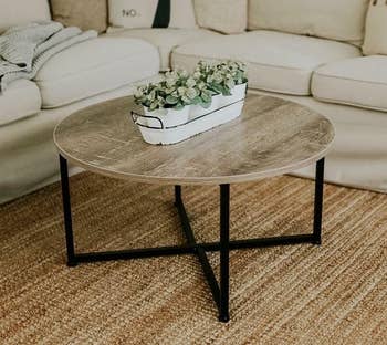Reviewer image of the coffee table with plants on it