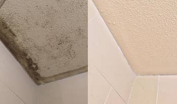 reviewer before and after photos showing a mold-covered ceiling next to the same ceiling looking stain-free
