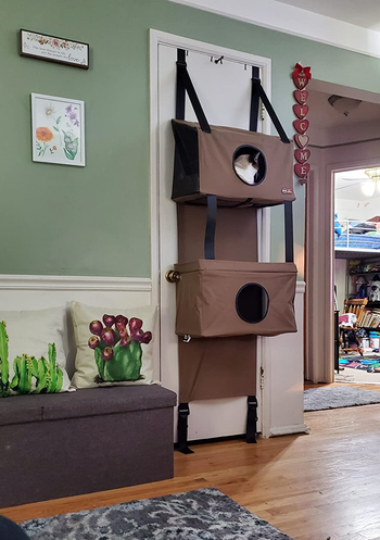 The four-level cat condo, which has entrances/ peepholes on multiple floors, and attaches to the back of doors with built-in straps