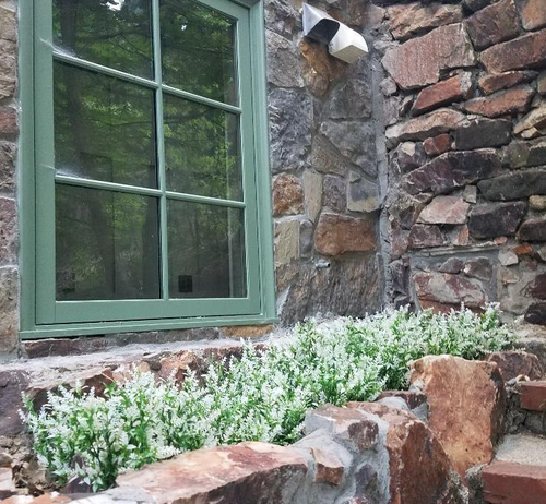 The faux white flowers arranged in a stone planter
