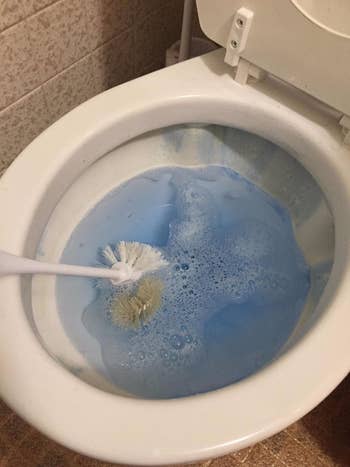 same toilet bowl with a cleaning brush and blue gel inside