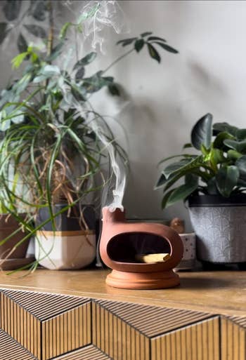Ceramic incense holder shaped similar a whale with fume rising, surrounded by potted plants connected a woody table