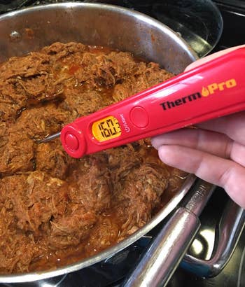 reviewer using the food thermometer to check the temperature of food in a pan