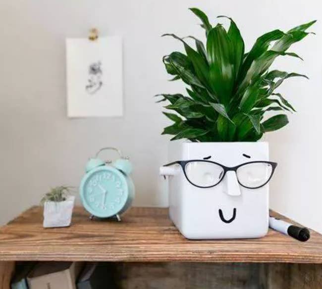 face-shaped plant holder with glasses and a smile on the front