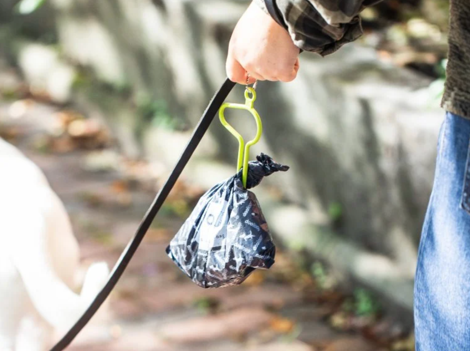 Model holding leash with waste bag carrying attached