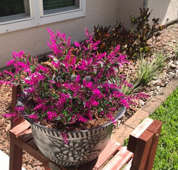 The pink faux flowers in a pot