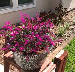 The pink faux flowers in a pot
