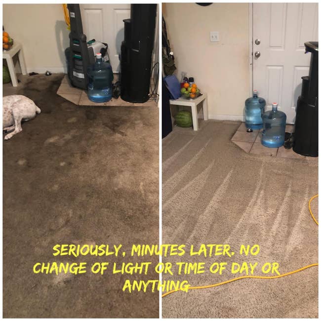 reviewer before and after photos showing a dirty carpet on the left, and a clean one on the right — the photos were taken just minutes apart