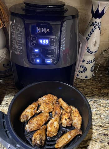 reviewer air fryer with chicken wings in it