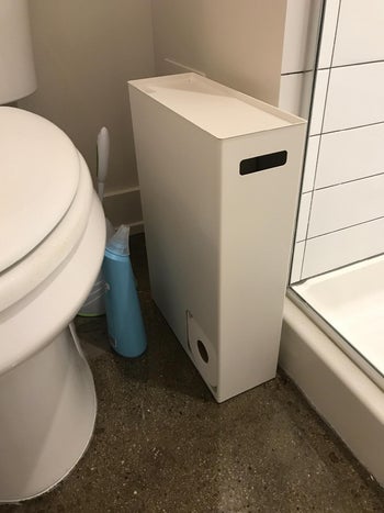reviewer photo of the toilet paper dispenser next to toilet