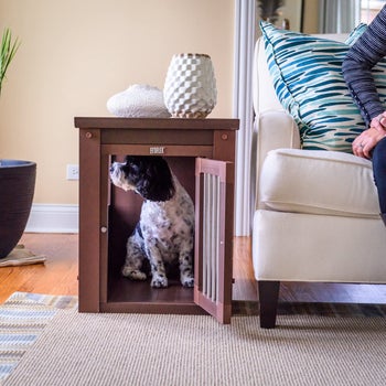A dog inside of the crate in a brown finish
