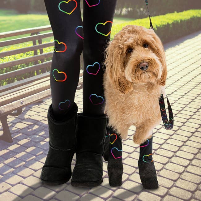 Model wearing black leggings with rainbow hearts next to dog in matching pair