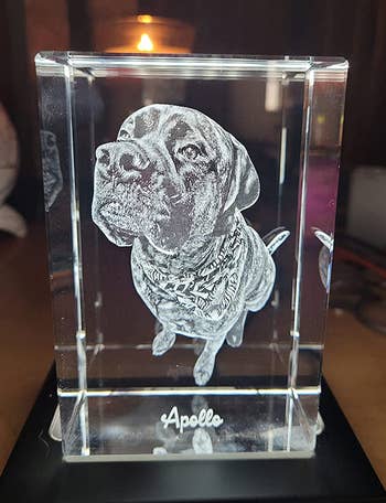 a reviewer photo of a crystal block etched with a photo of a dog 