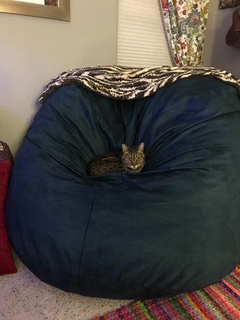 reviewer photo of their cat laying in the middle of the giant bean bag chair