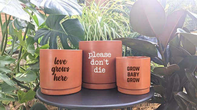 three terracotta plant pots, one that says 