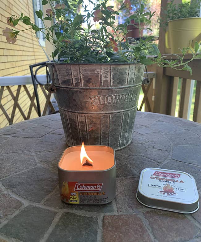 reviewer photo of lit citronella candle outside next to plant