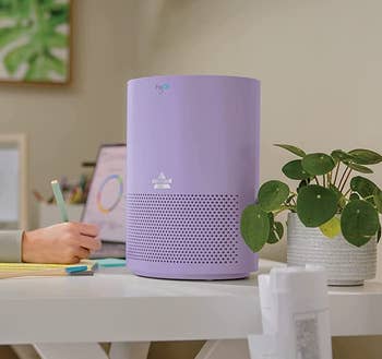 the purple air purifier on a desk