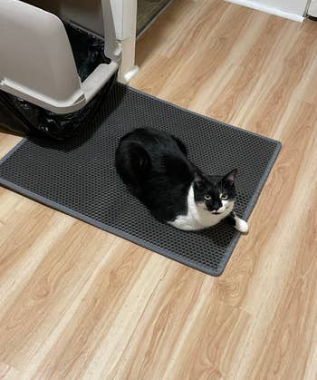 reviewer's black cat lying on the mat in front of litter box