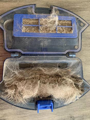 reviewers open vacuum filter compartment filled with dust and debris