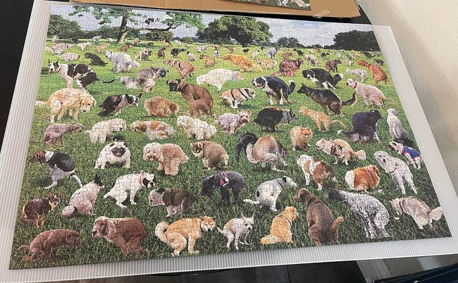 reviewer pic of completed puzzle