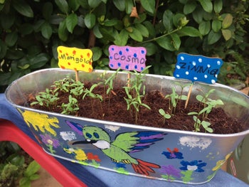 reviewer's decorated planter