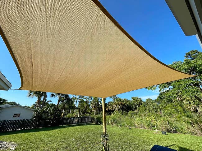 A ample  shadiness  canopy is stretched crossed  a backyard, providing shadiness  implicit    a grassy area.
