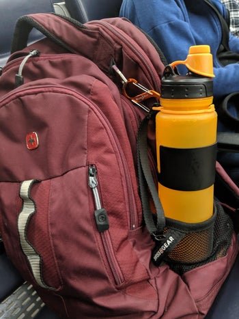 reviewer's orange bottle