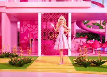 the doll in a Barbie Dreamhouse 