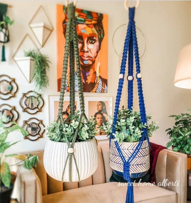 green and blue macrame plant hangers