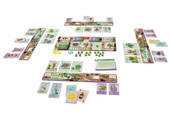 the cards and tokens included in the game 