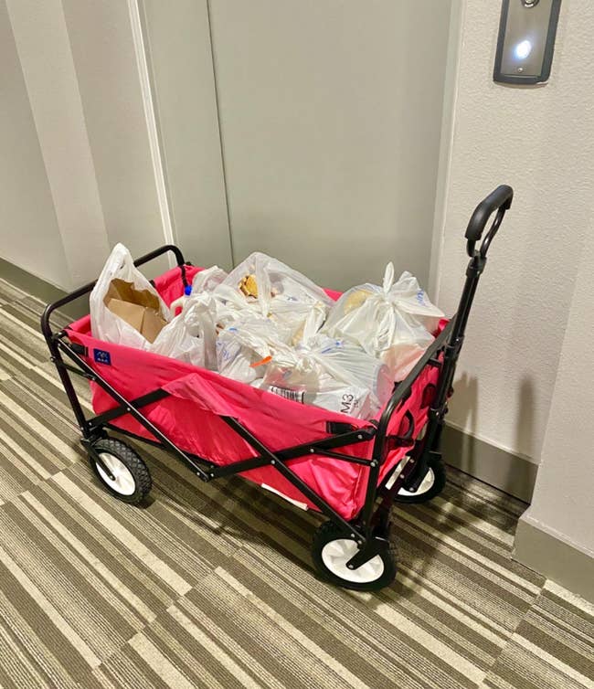 A reviewer's pink wagon filled with groceries 
