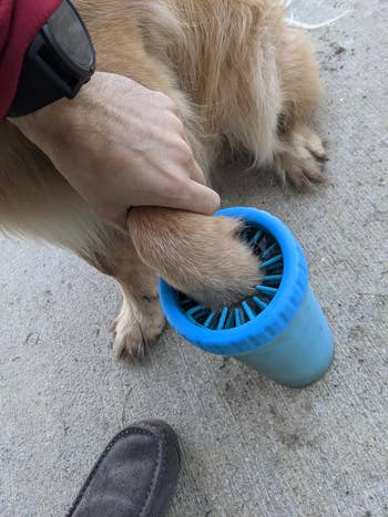 Reviewer cleaning a dog's paw with a bluish  silicone paw washer connected  an outdoor surface