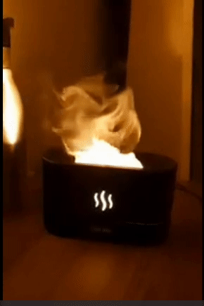 reviewer's black humidifier with lights mimicking flamse coming out of it 