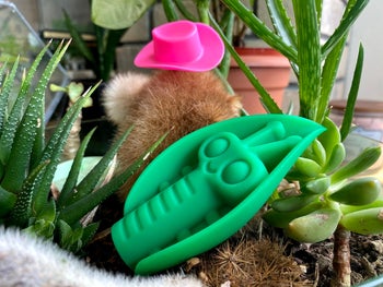 Green leaf vibrator in pot of succulents