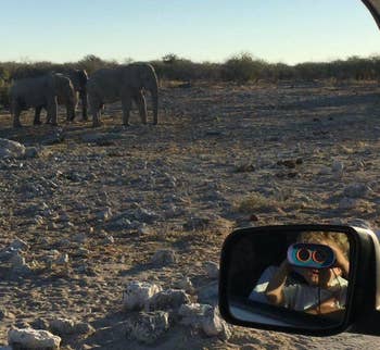 review image of child in car looking at elephants with binoculars 