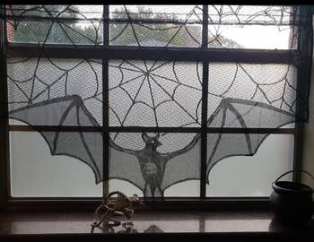 sheer bat lace curtain over reviewer's window 