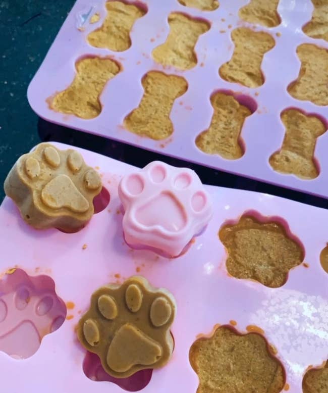 reviewer image of the paw print and dog bone shaped molds filled with treats