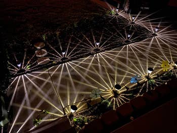 Decorative pathway star lights make starburst patterns connected a sidewalk, surrounded by flower-themed plot stakes