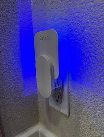 fly trap light plugged into a wall outlet