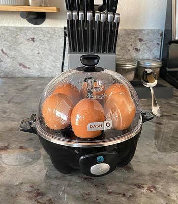Compact egg cooker on kitchen counter with six eggs inside