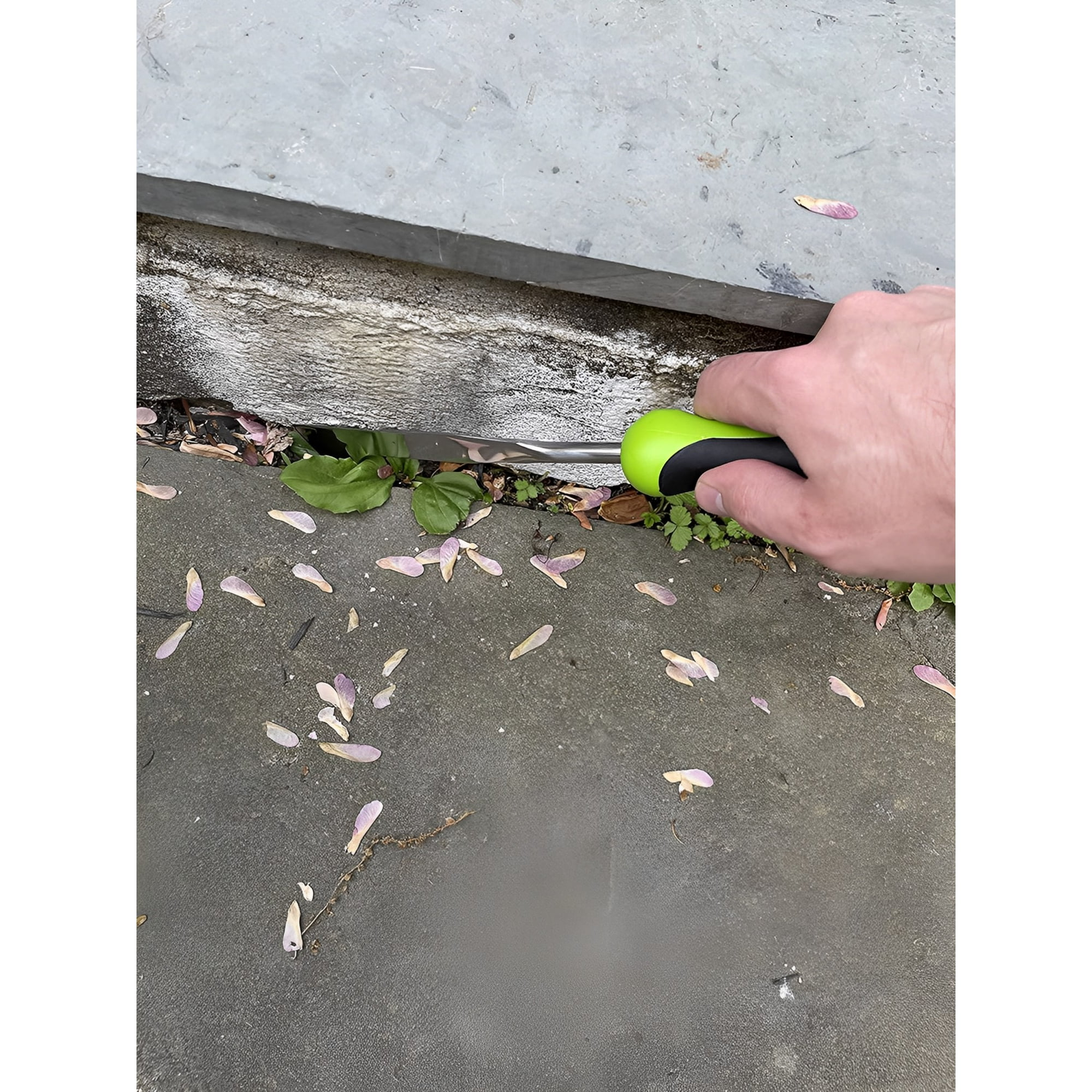 Post image 27