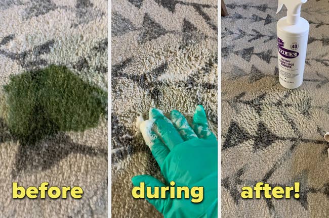 33 Things To Help You Tackle Disgusting Pet Messes