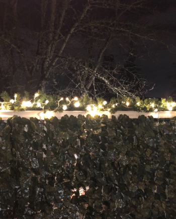 reviewer's deck with ivy blocking view of neighbors