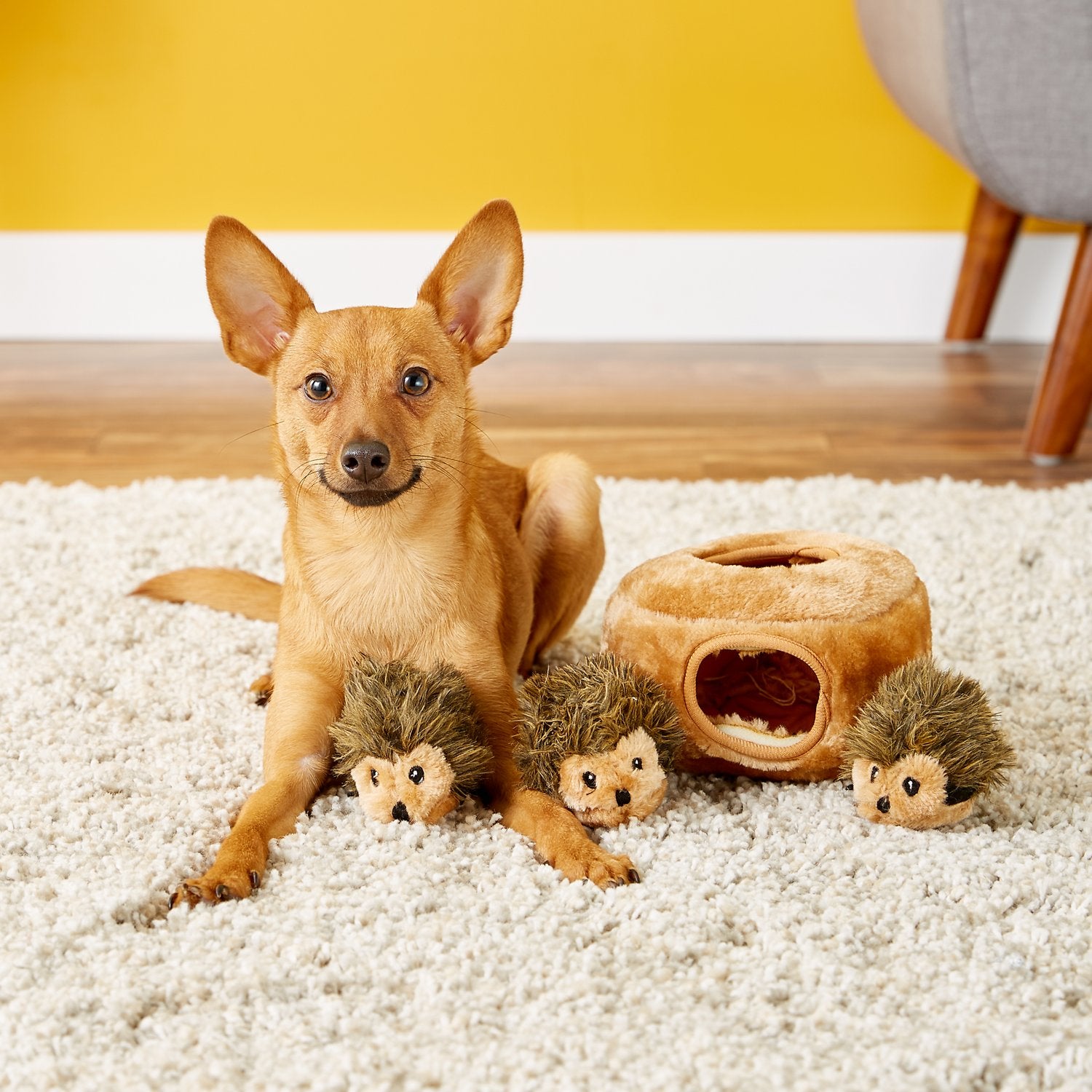 HearDoggy! Silent Squeak Flips Duck/Bear Dog Toy