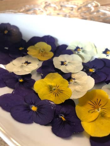 A white plate filled with pressed flowers, mainly violas, arranged in a mix of purple, white, and yellow