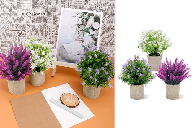 Dark purple, white, and light purple flowers in small clay pots on an orange table next to a notebook and framed photo, products lined up on a white background