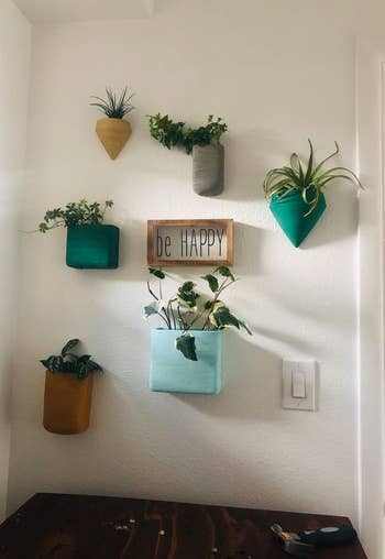 different reviewer's wall with the hanging planters arranged around some art